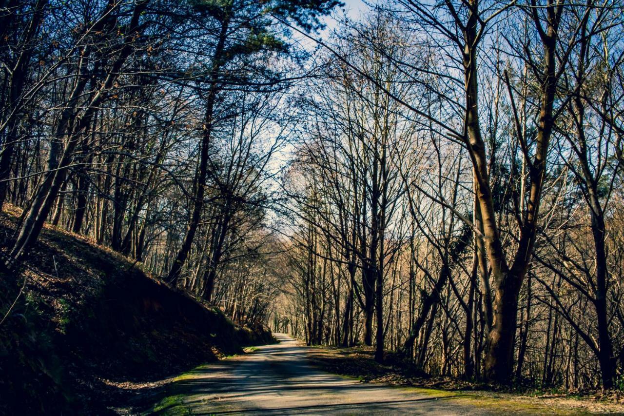 Posada De Bielva Dış mekan fotoğraf